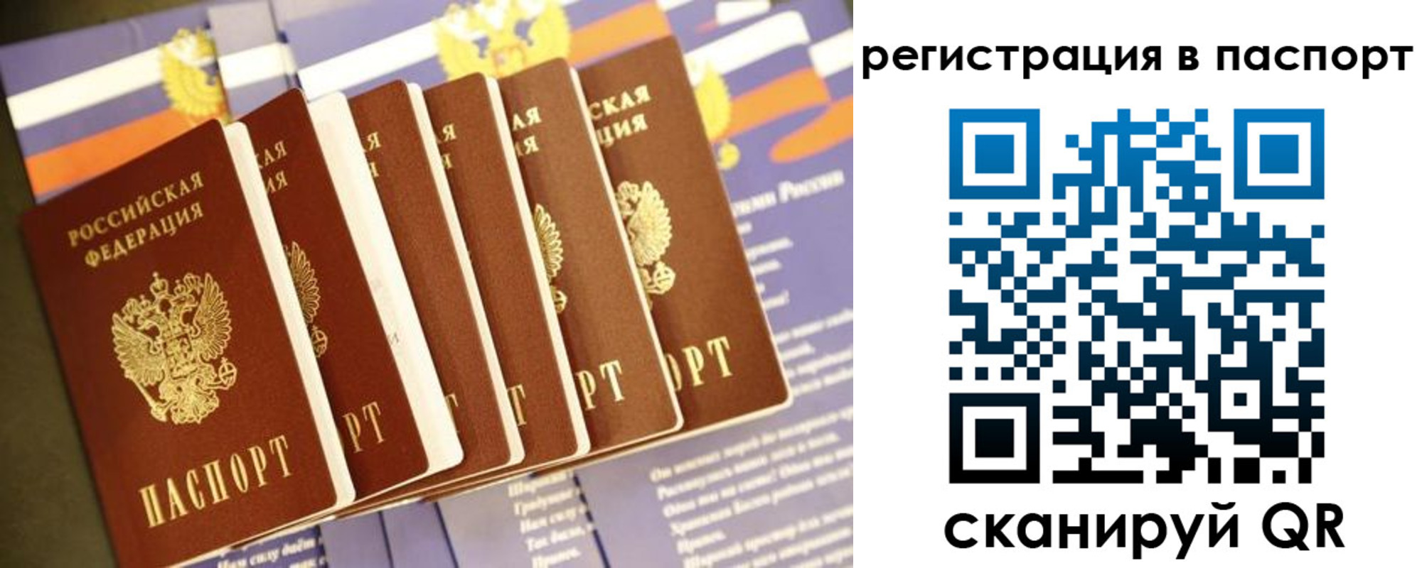 прописка ребенка в Новозыбкове